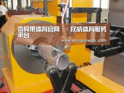 产品名称十三