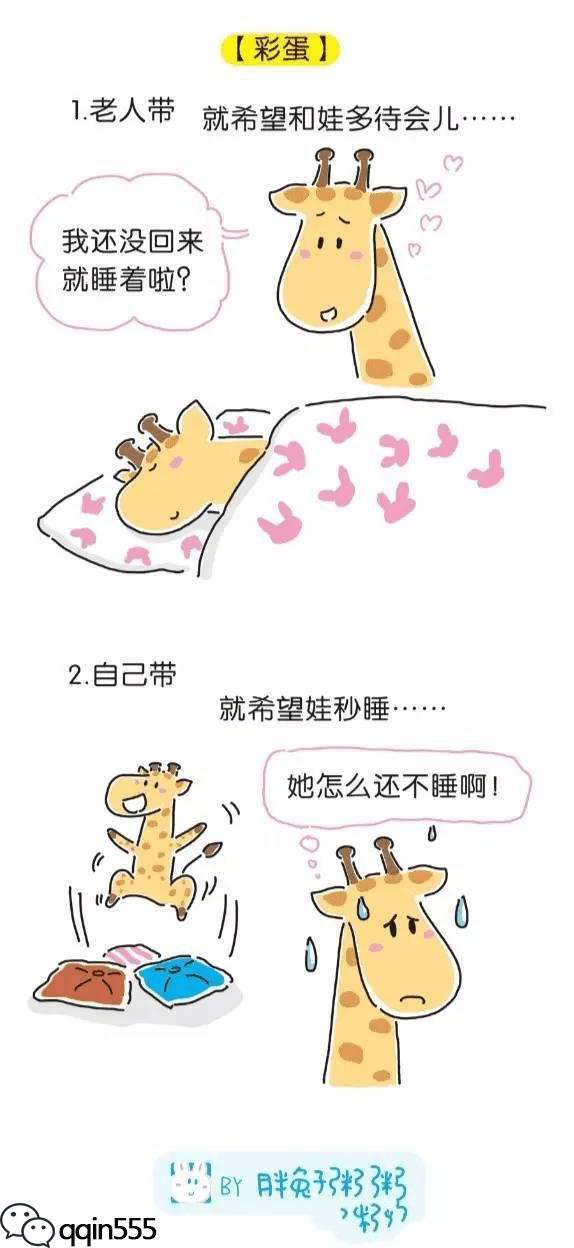 奇异果体育直播