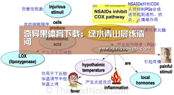 奇异果体育下载:绿水青山晨练灞河(图1) 奇异果体育