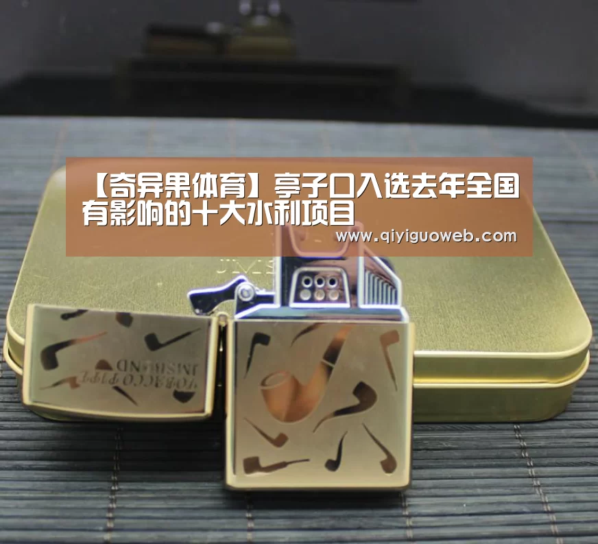 【奇异果体育】亭子口入选去年全国有影响的十大水利项目(图3) 奇异果体育官网