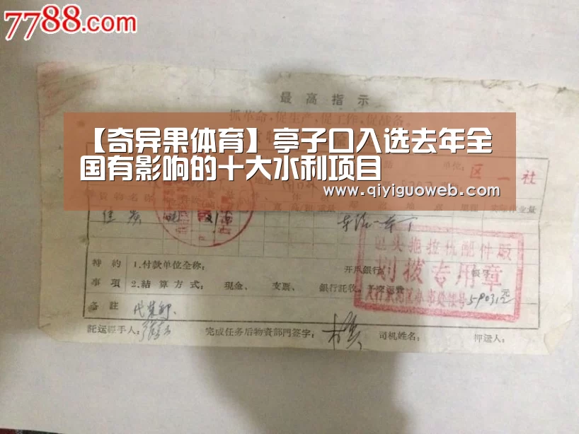 【奇异果体育】亭子口入选去年全国有影响的十大水利项目(图2) 奇异果体育官网