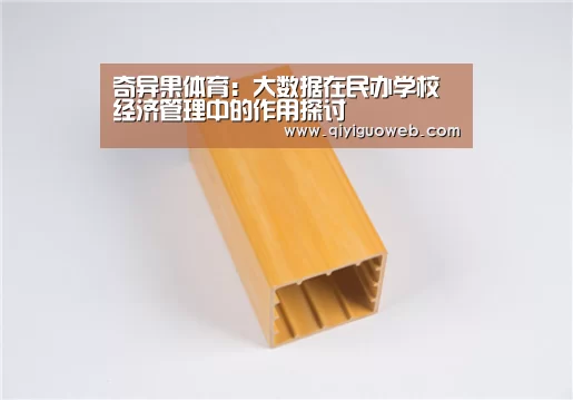 奇异果体育:大数据在民办学校经济管理中的作用探讨(图1) 奇异果体育下载