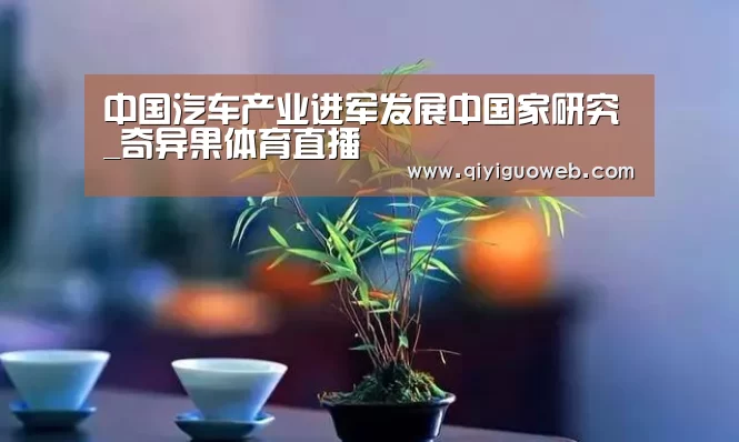 中国汽车产业进军发展中国家研究_奇异果体育直播(图3) 奇异果体育直播
