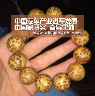 中国汽车产业进军发展中国家研究_奇异果体育直播(图2) 奇异果体育下载