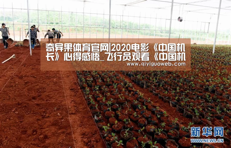奇异果体育官网|2020电影《中国机长》心得感悟_飞行员观看《中国机长》观后感13篇(图3) 奇异果体育官网