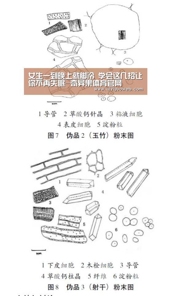 奇异果体育