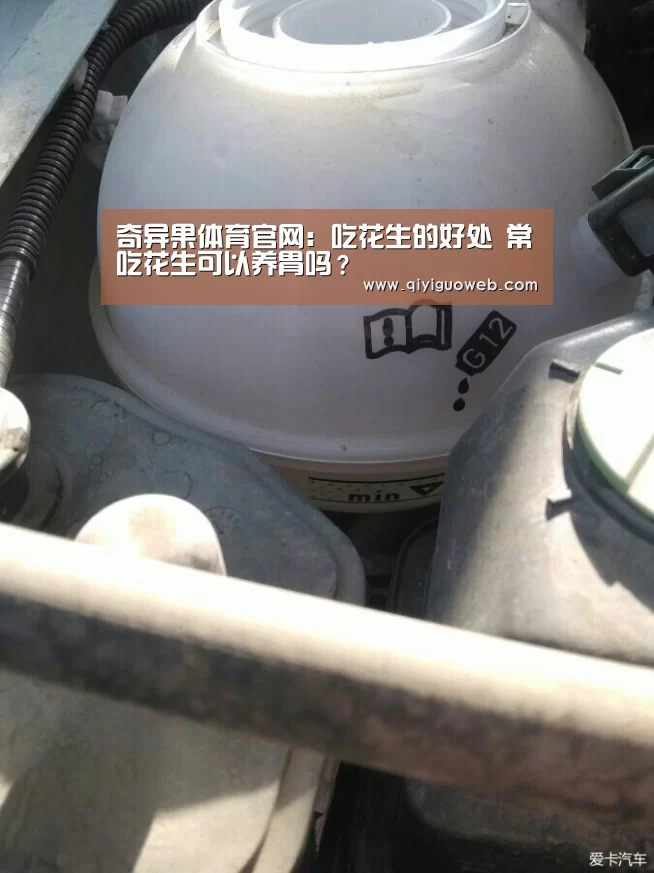 奇异果体育官网:吃花生的好处 常吃花生可以养胃吗?(图3) 奇异果体育