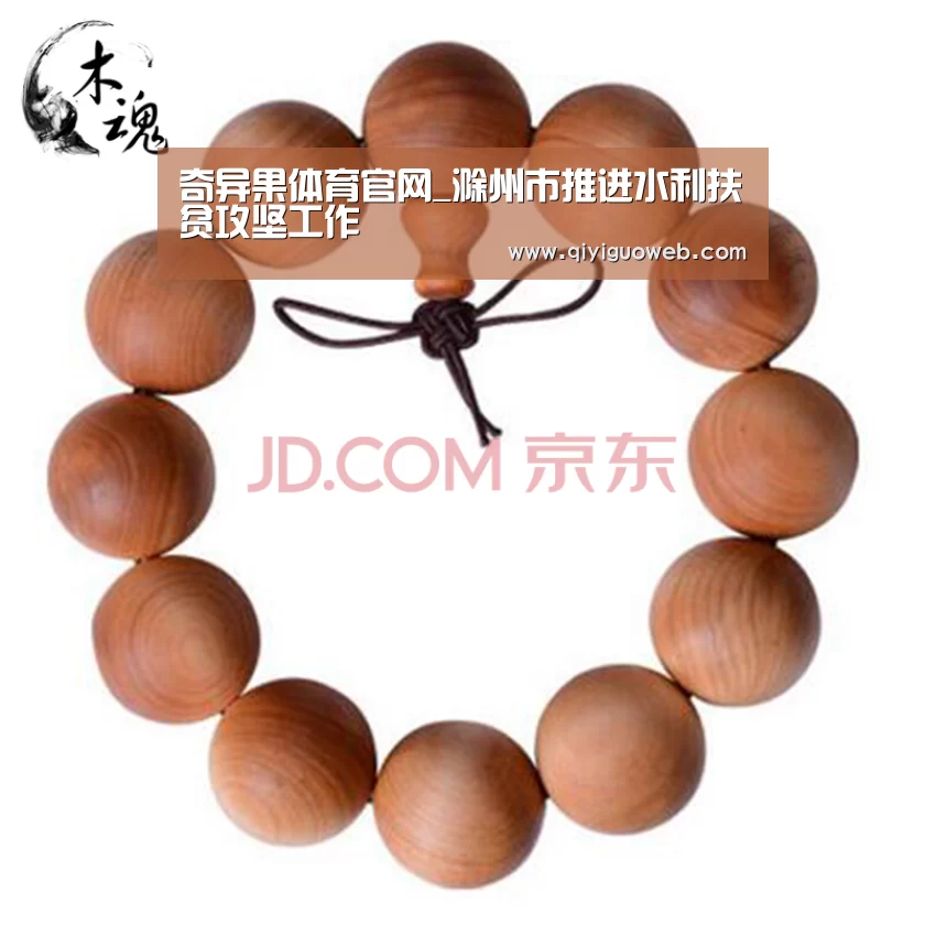 奇异果体育官网_滁州市推进水利扶贫攻坚工作(图3) 奇异果体育
