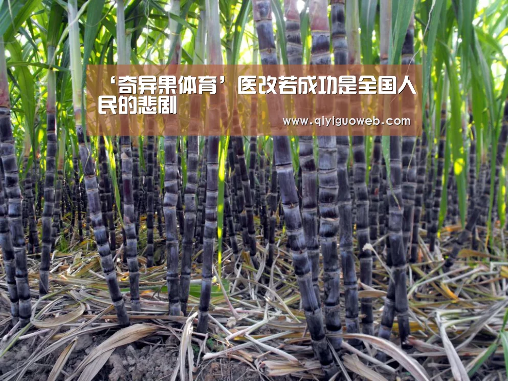‘奇异果体育’医改若成功是全国人民的悲剧(图3) 奇异果体育官网