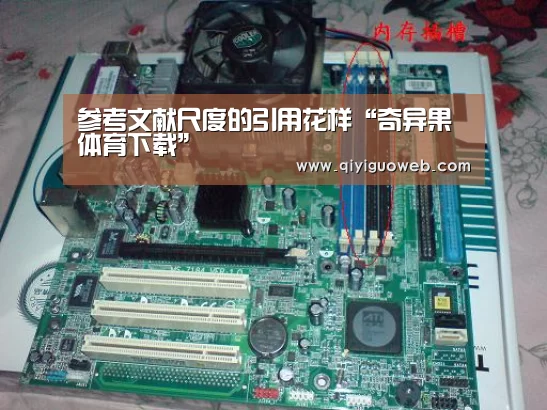 奇异果体育直播